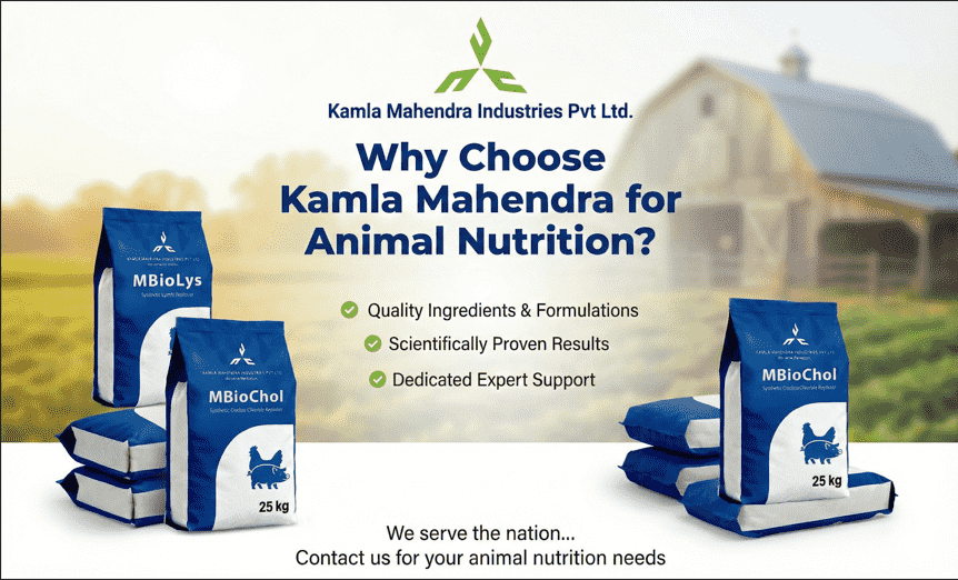 Why Choose Kamla Mahendra for Animal Nutrition?