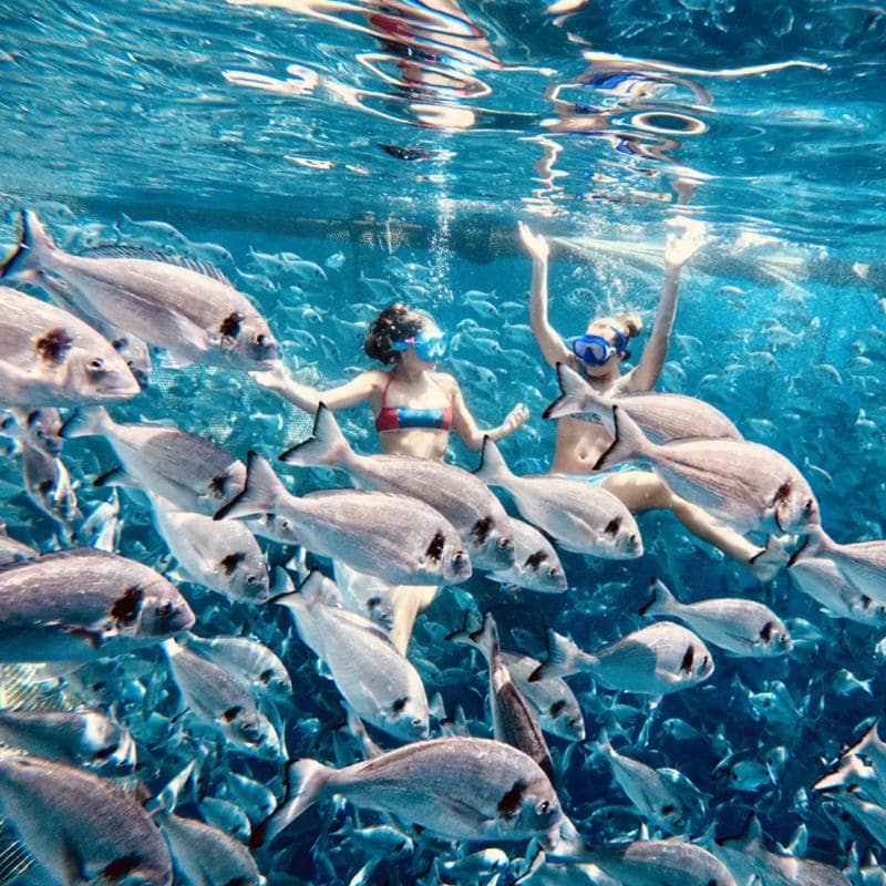 Kamla%20Mahendra%20Industries