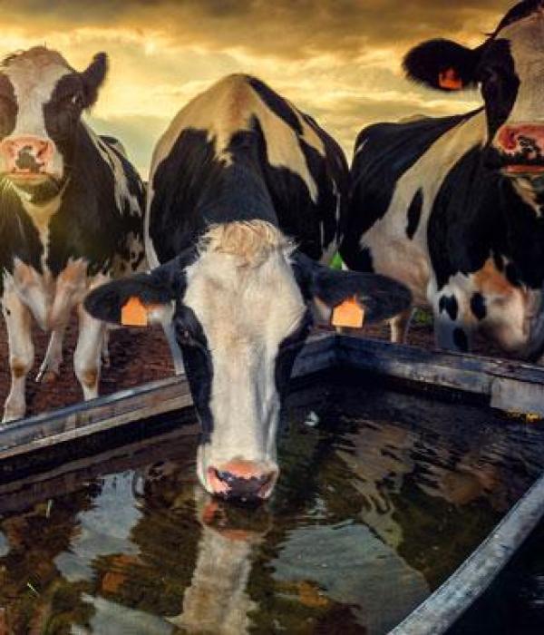 Kamla%20Mahendra%20Industries